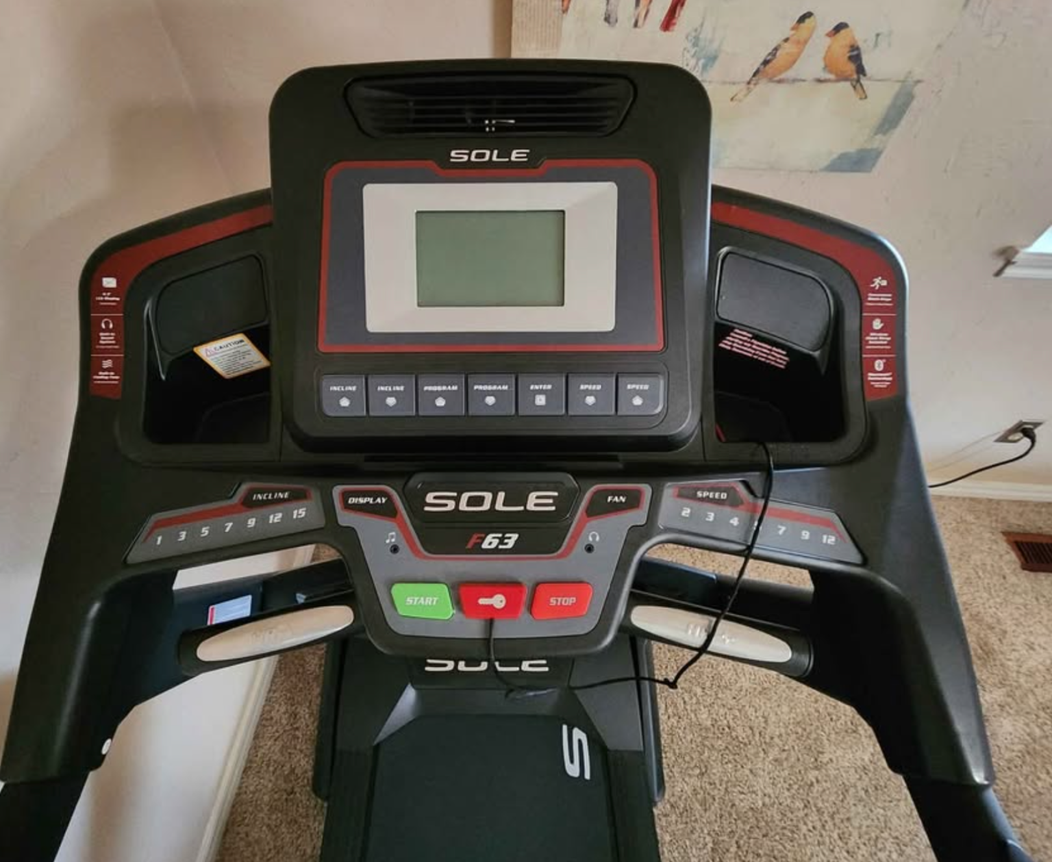 I bought Sole F63 Treadmill: here's my BRUTAL review - Snoopviews